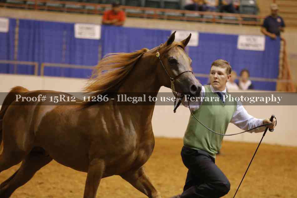 Proof Number 15R12_11286