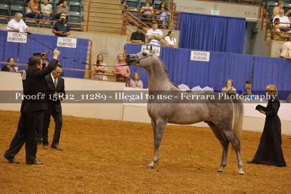 Proof Number 15R12_11289