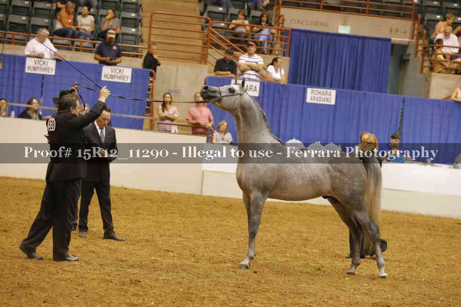 Proof Number 15R12_11290