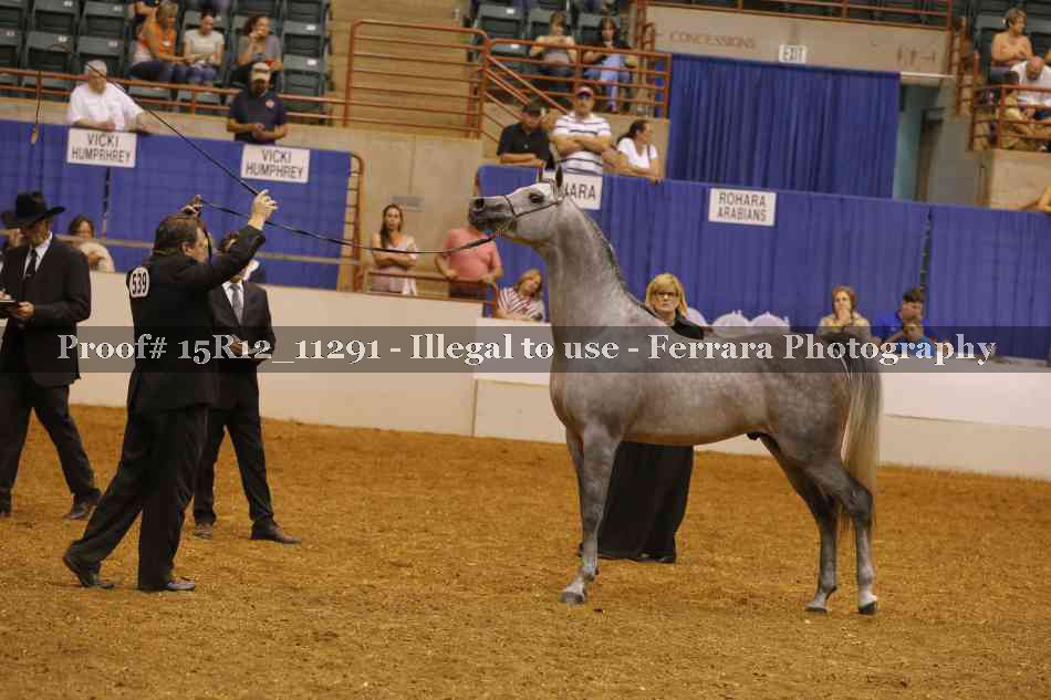Proof Number 15R12_11291