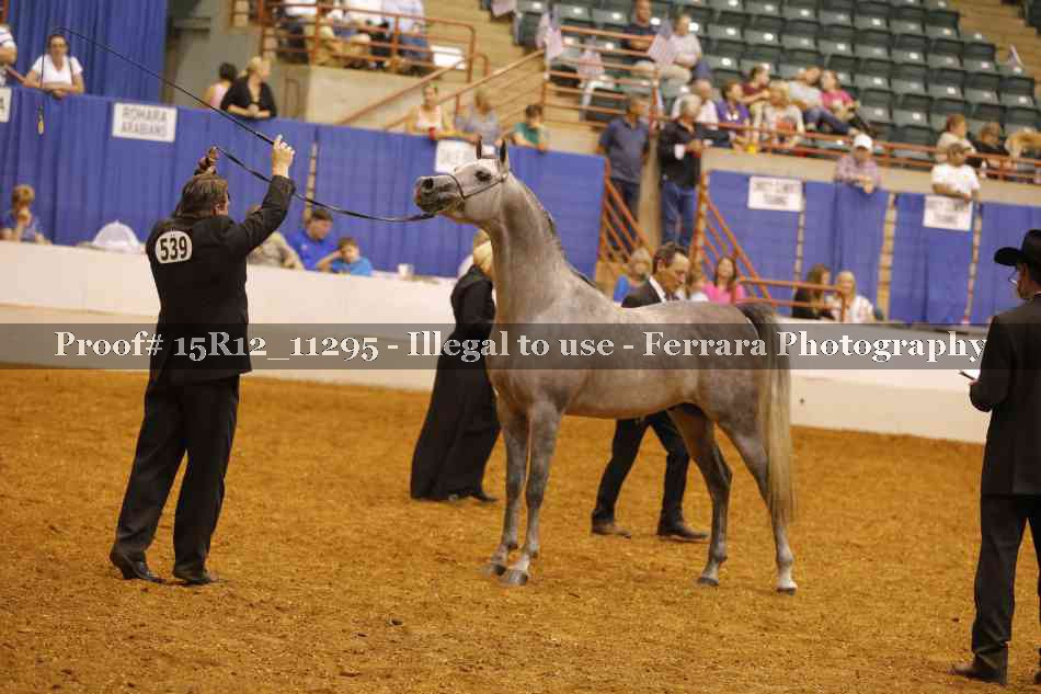 Proof Number 15R12_11295