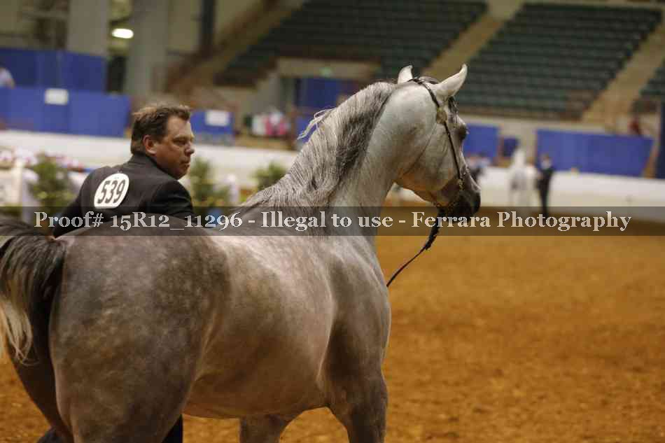 Proof Number 15R12_11296
