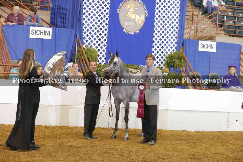 Proof Number 15R12_11299