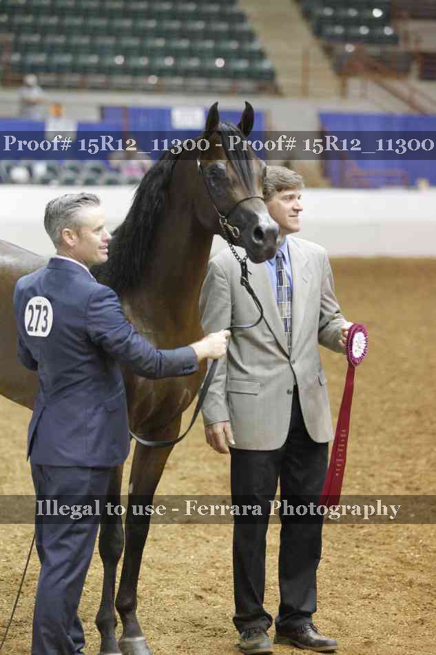 Proof Number 15R12_11300