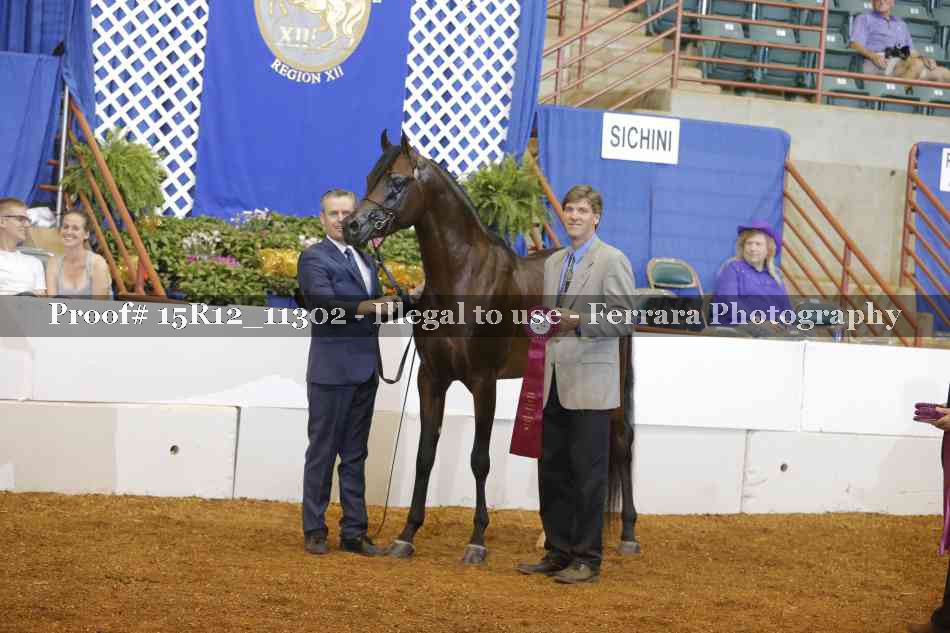 Proof Number 15R12_11302