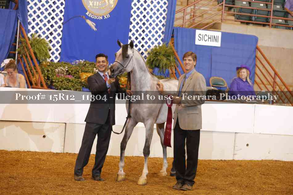 Proof Number 15R12_11304