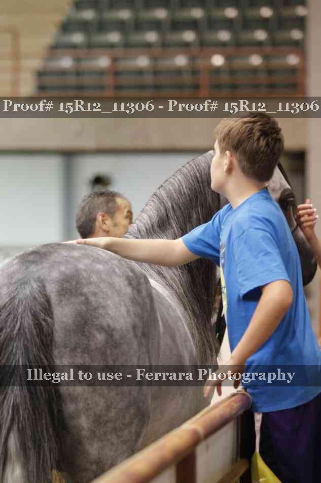 Proof Number 15R12_11306