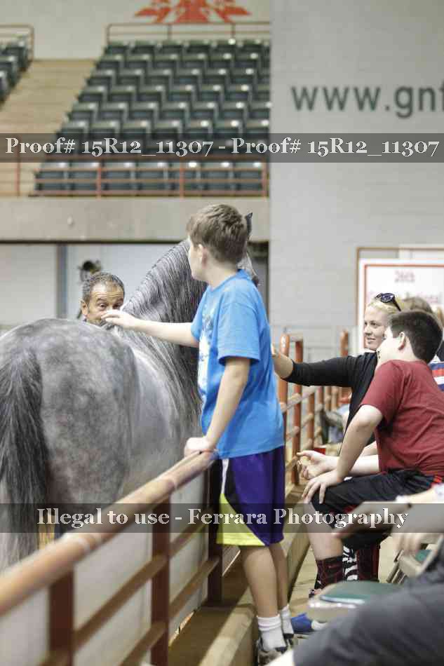 Proof Number 15R12_11307