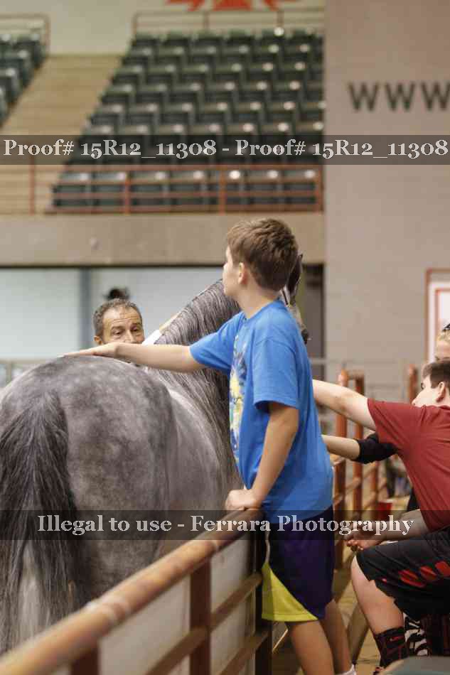 Proof Number 15R12_11308