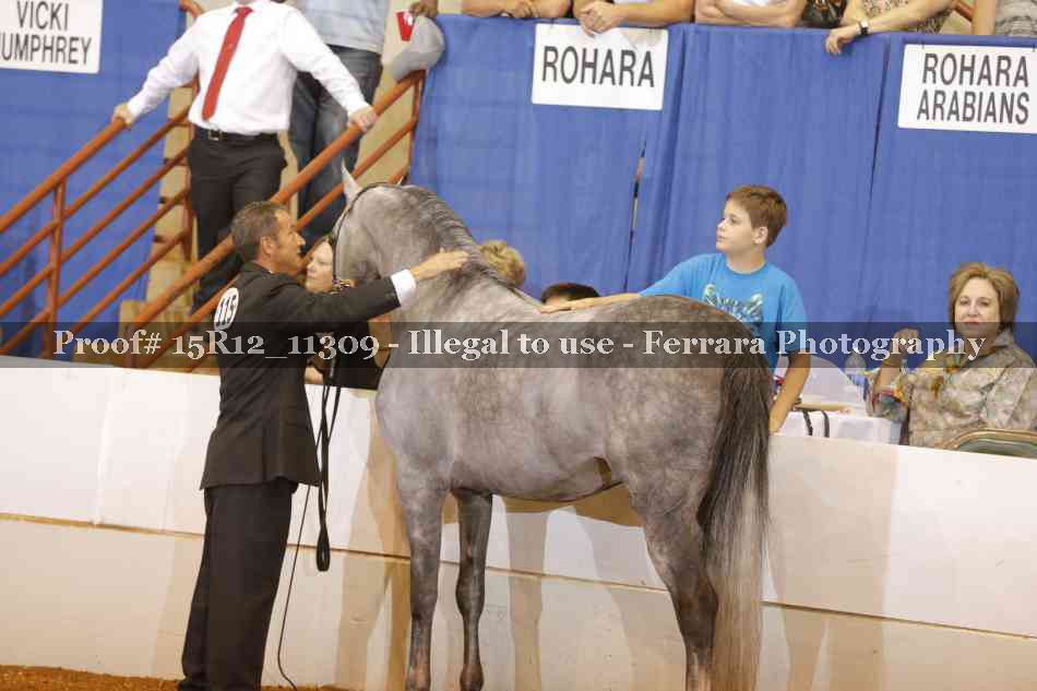 Proof Number 15R12_11309