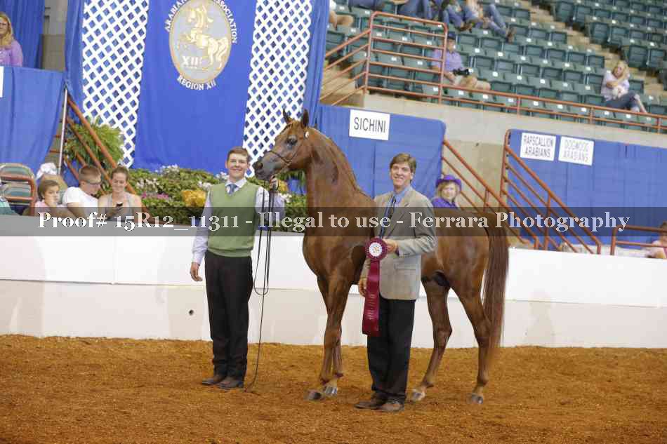 Proof Number 15R12_11311