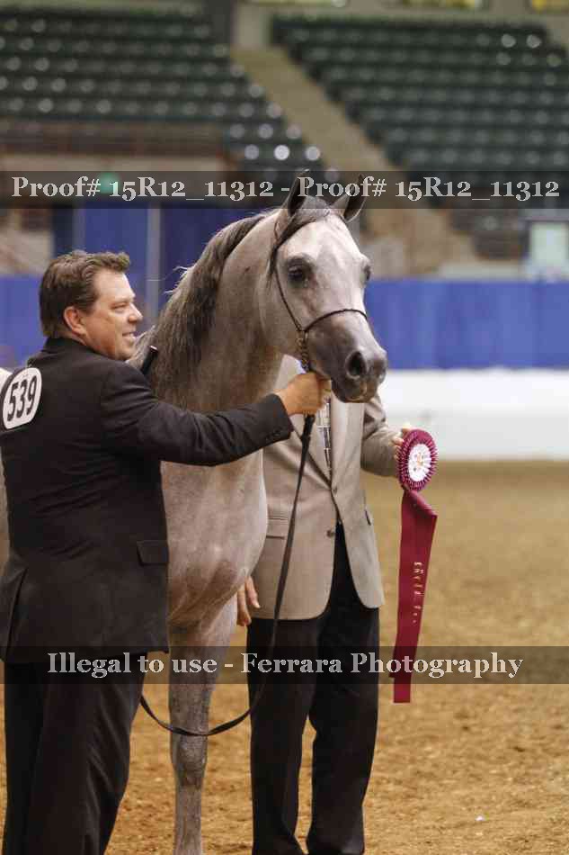 Proof Number 15R12_11312