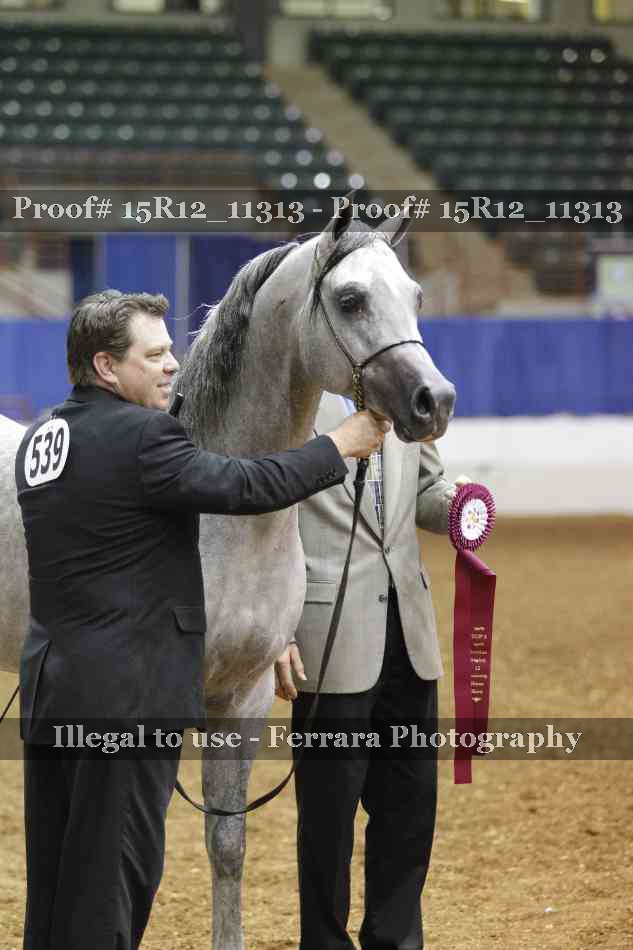 Proof Number 15R12_11313