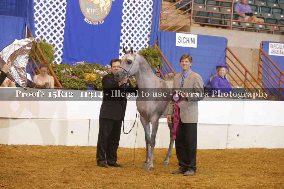 Proof Number 15R12_11314