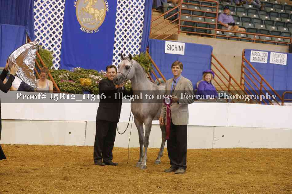 Proof Number 15R12_11316