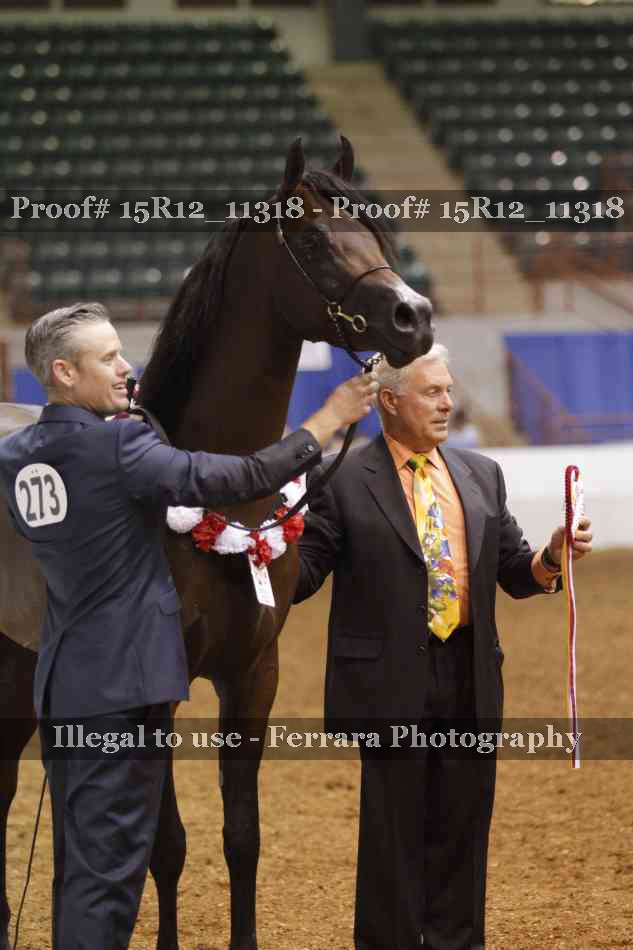 Proof Number 15R12_11318