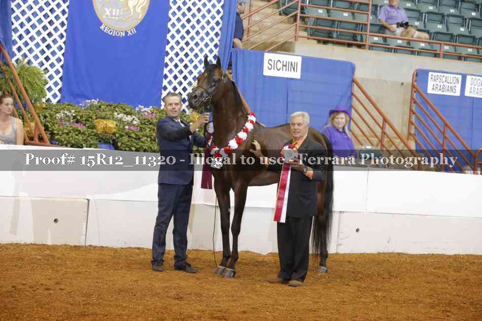 Proof Number 15R12_11320