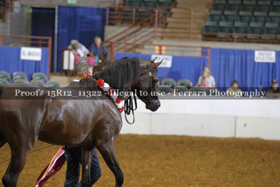 Proof Number 15R12_11322