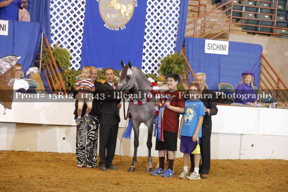 Proof Number 15R12_11343