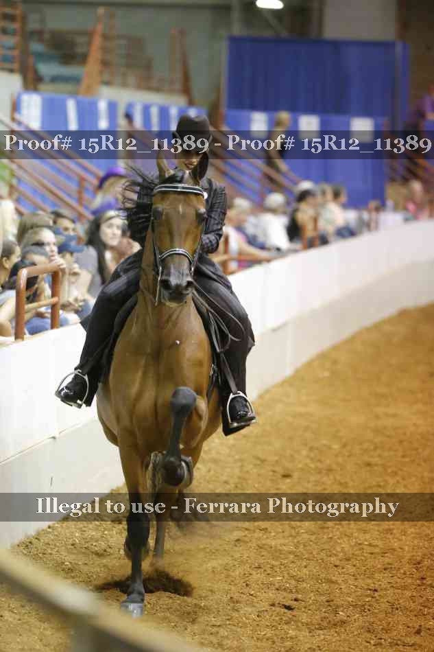 Proof Number 15R12_11389