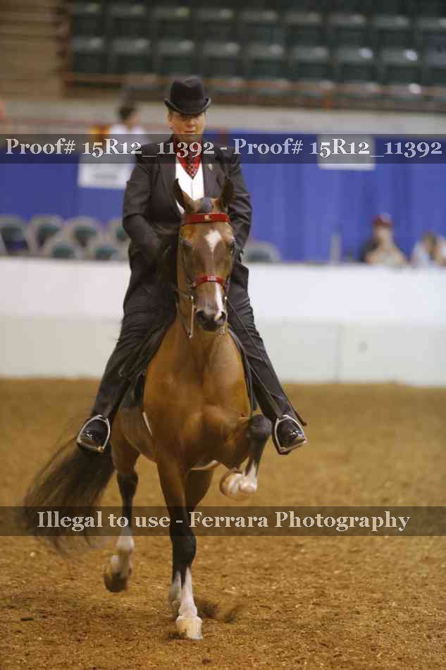 Proof Number 15R12_11392
