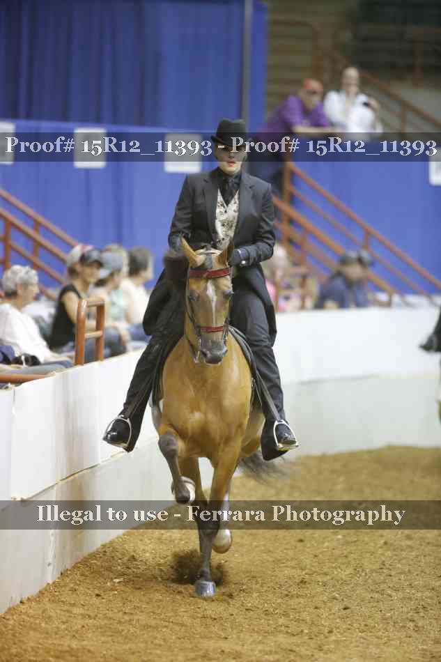 Proof Number 15R12_11393