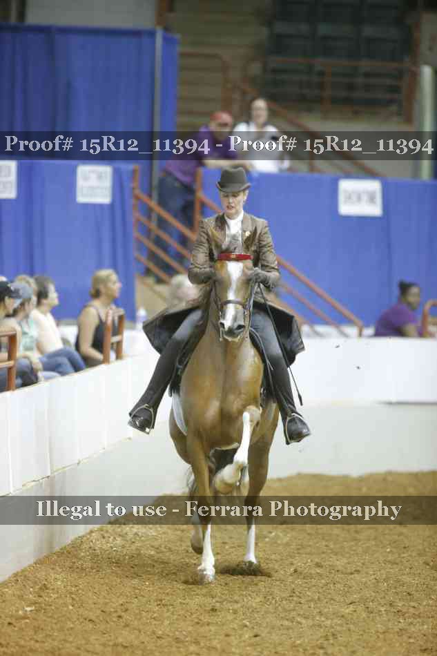 Proof Number 15R12_11394