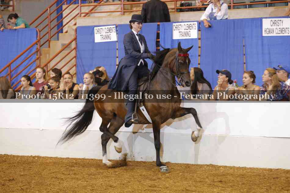 Proof Number 15R12_11399