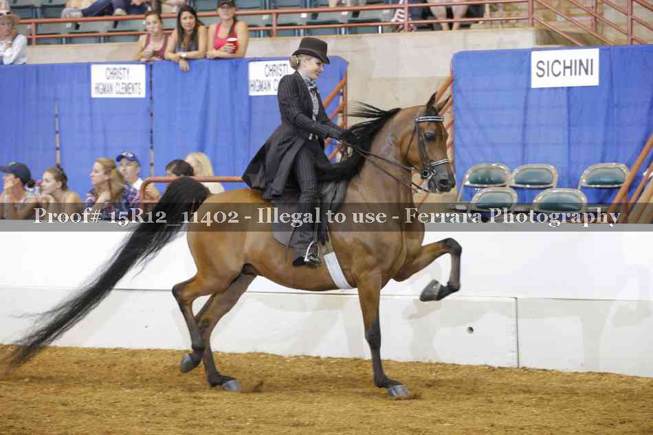 Proof Number 15R12_11402
