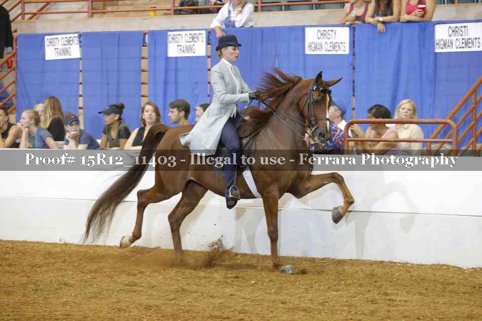 Proof Number 15R12_11403