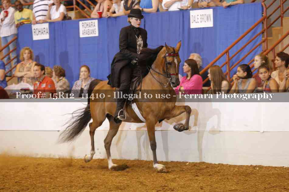 Proof Number 15R12_11410
