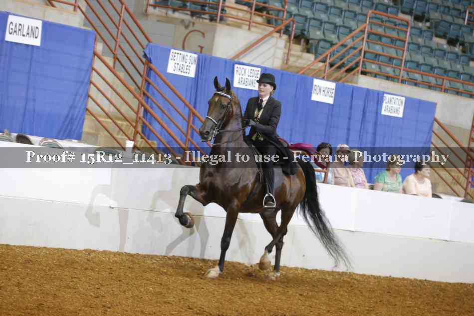 Proof Number 15R12_11413