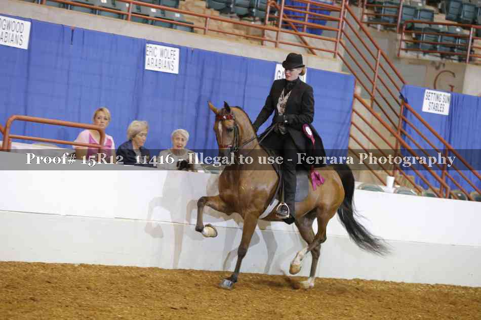 Proof Number 15R12_11416