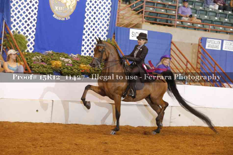 Proof Number 15R12_11427