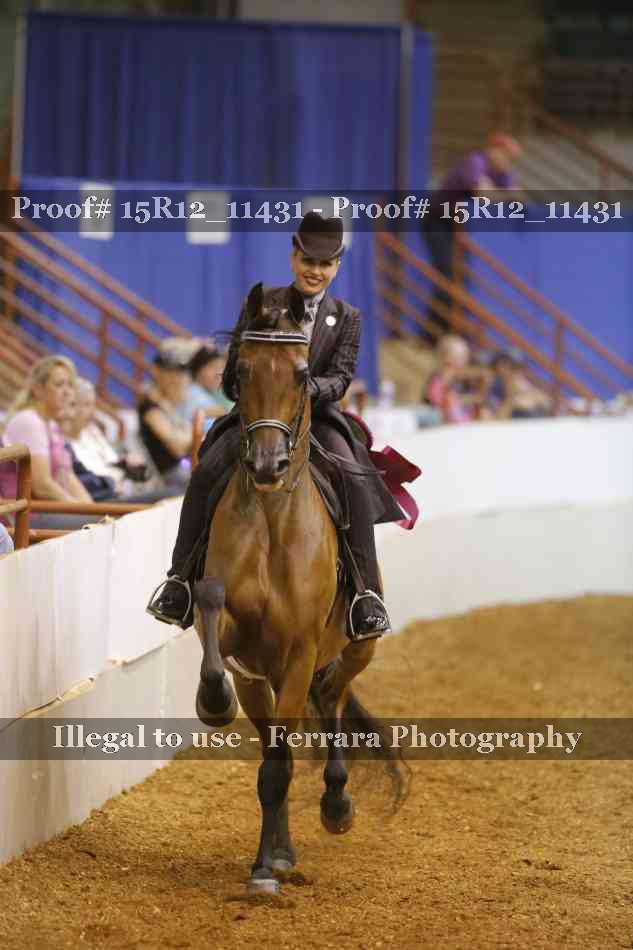 Proof Number 15R12_11431