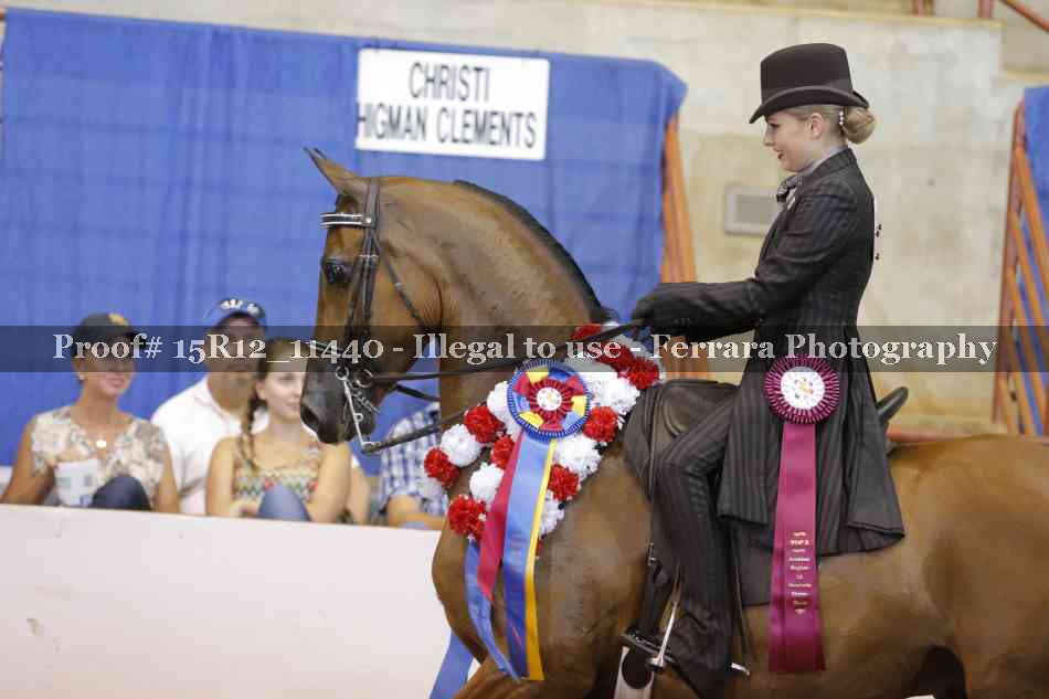 Proof Number 15R12_11440