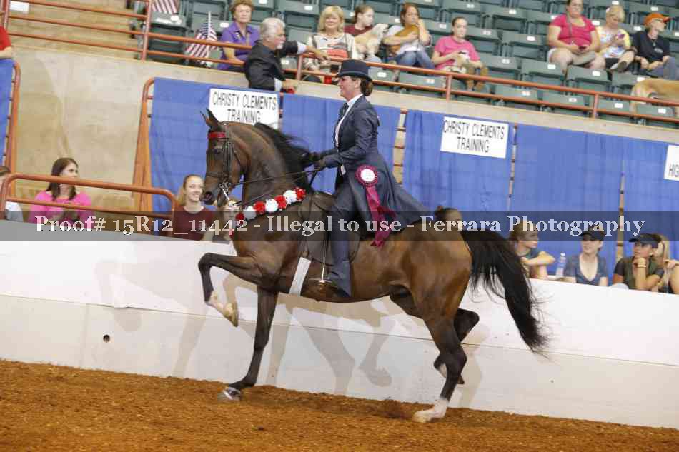 Proof Number 15R12_11442