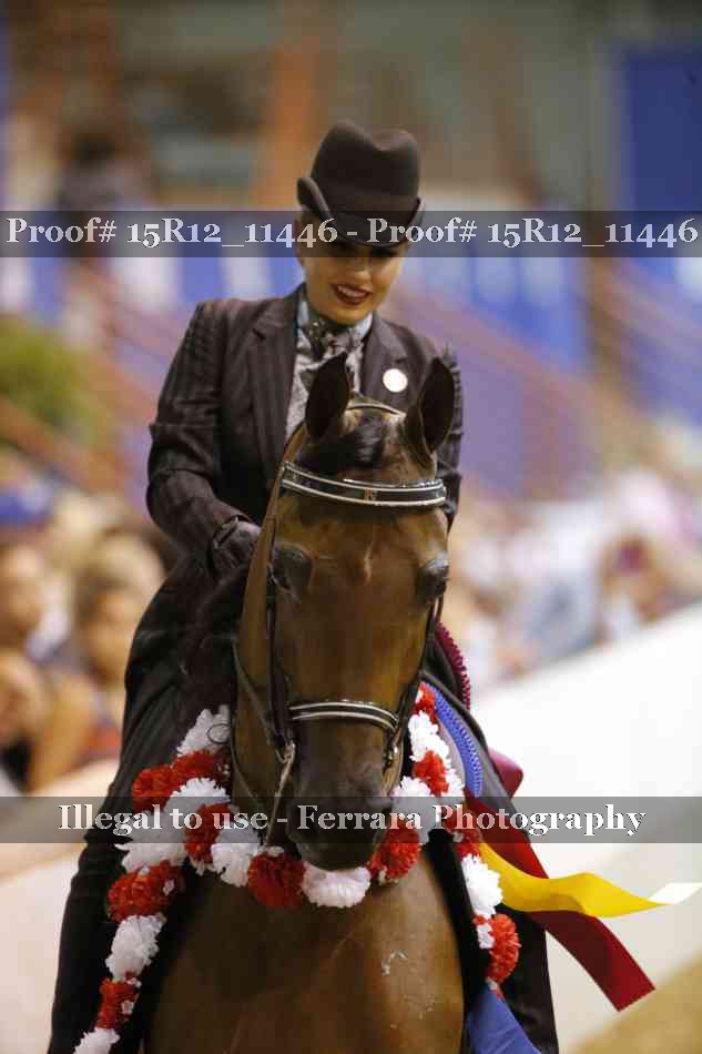 Proof Number 15R12_11446