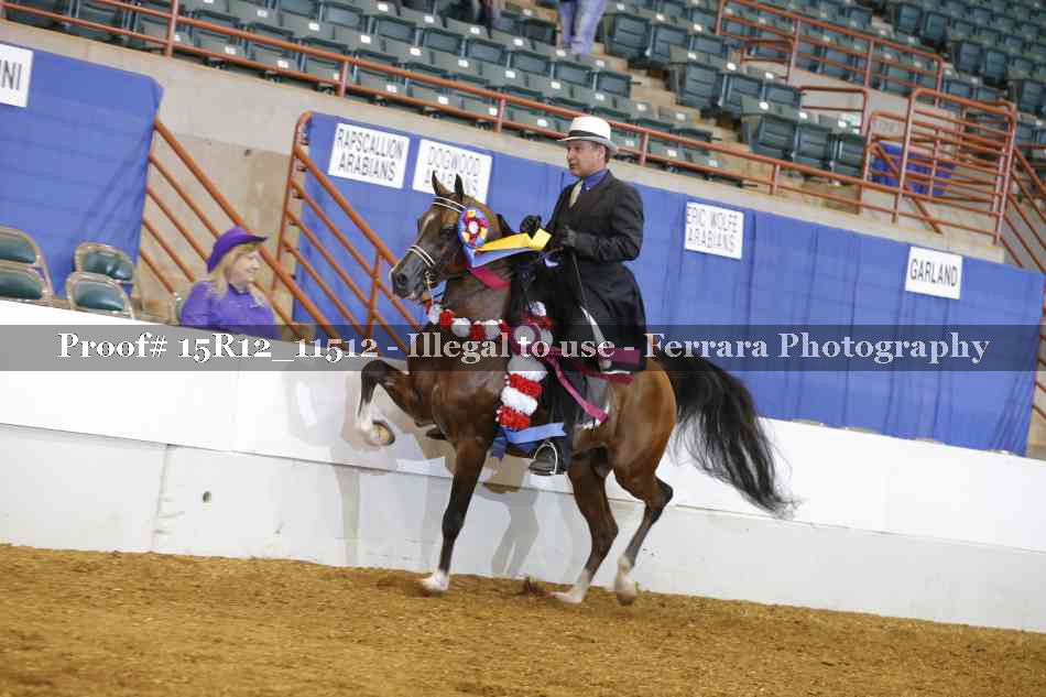 Proof Number 15R12_11512