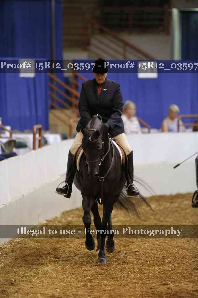 Proof Number 15R12_03597