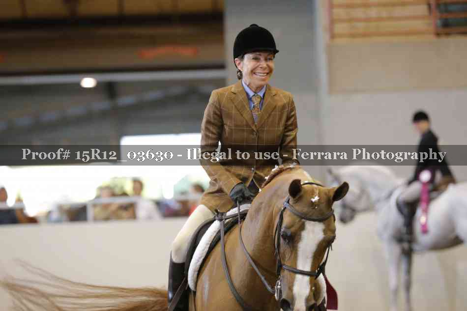 Proof Number 15R12_03630