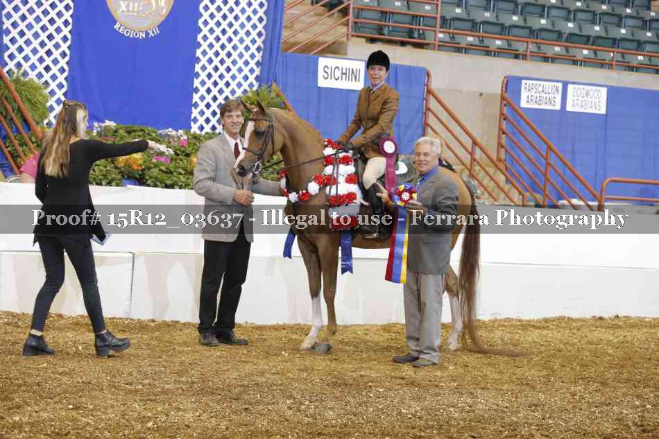 Proof Number 15R12_03637