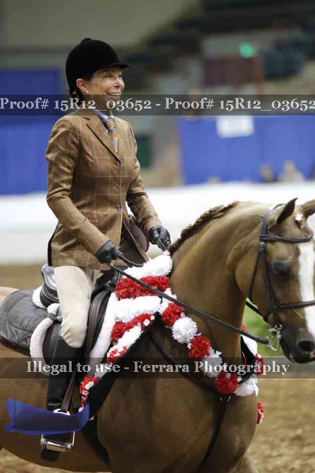 Proof Number 15R12_03652