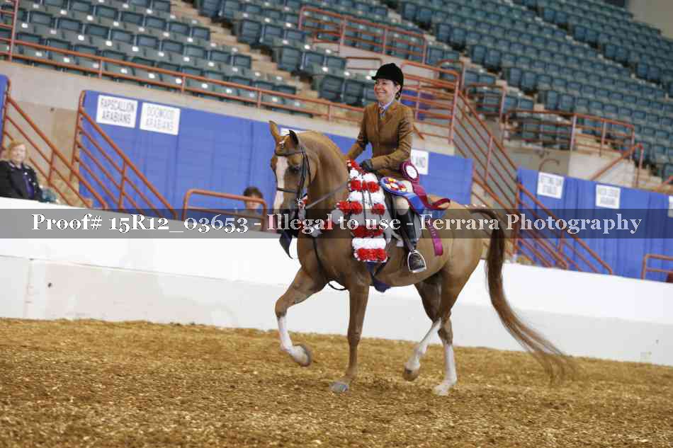 Proof Number 15R12_03653