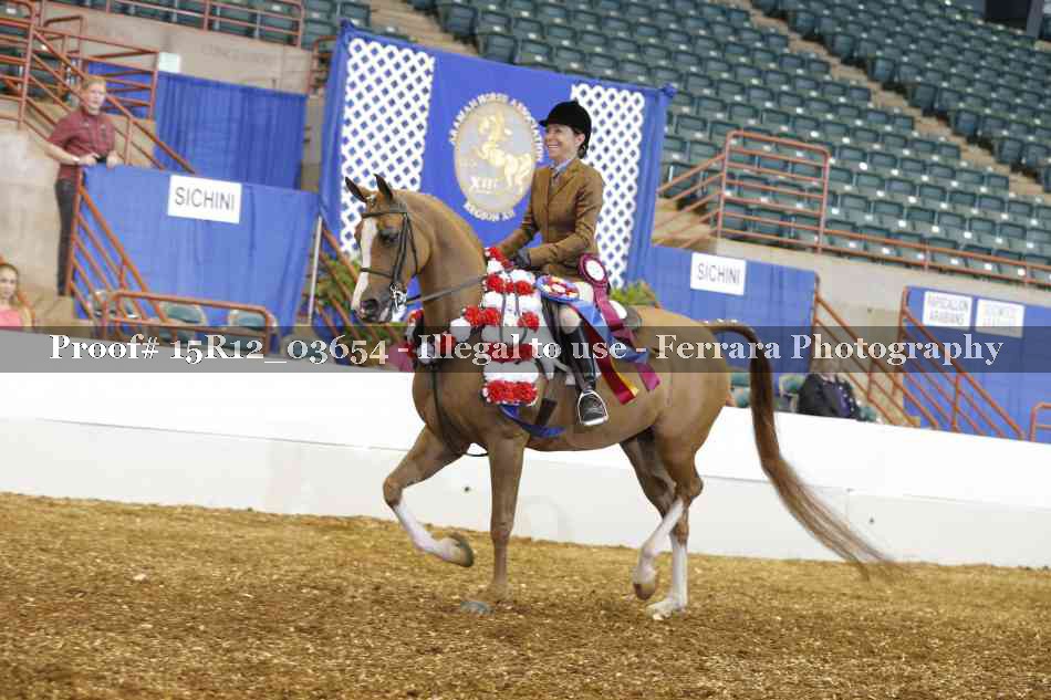 Proof Number 15R12_03654
