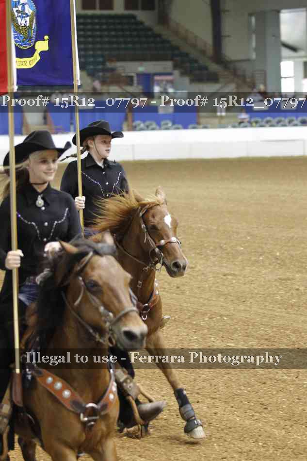 Proof Number 15R12_07797