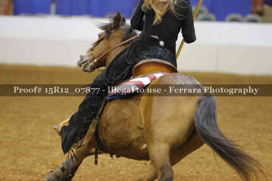 Proof Number 15R12_07877