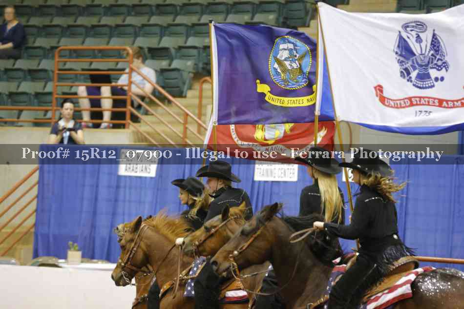 Proof Number 15R12_07900
