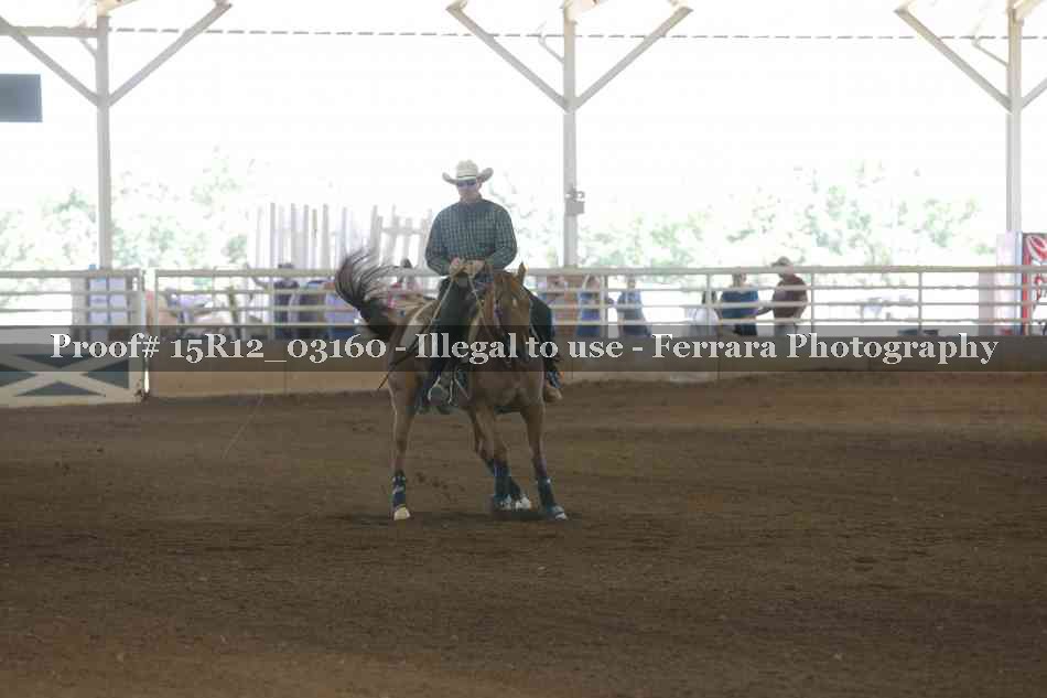 Proof Number 15R12_03160