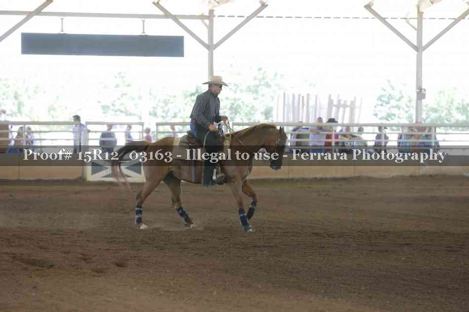 Proof Number 15R12_03163